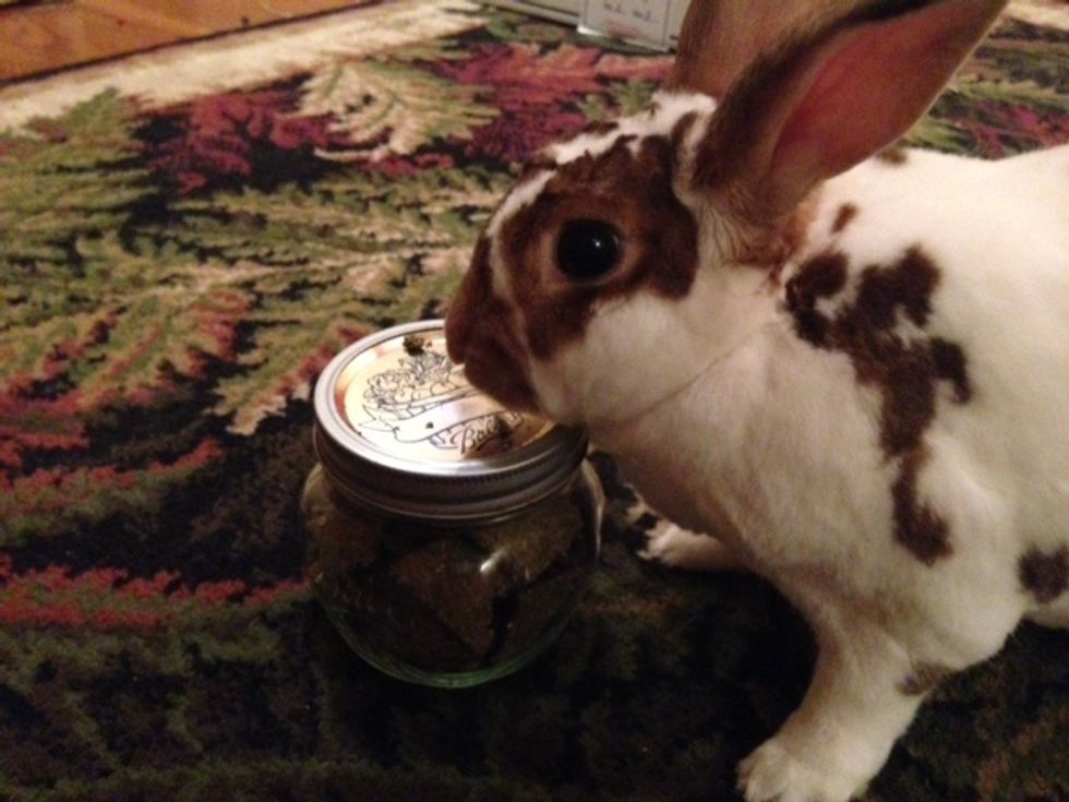 Cookie Bun says you should store them in a sealed container. They will stay fresh for at least one month, but they won't last that long!