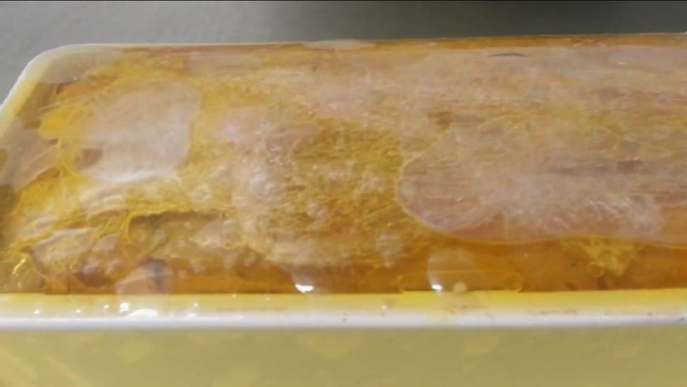 Cool down in refrigerator.