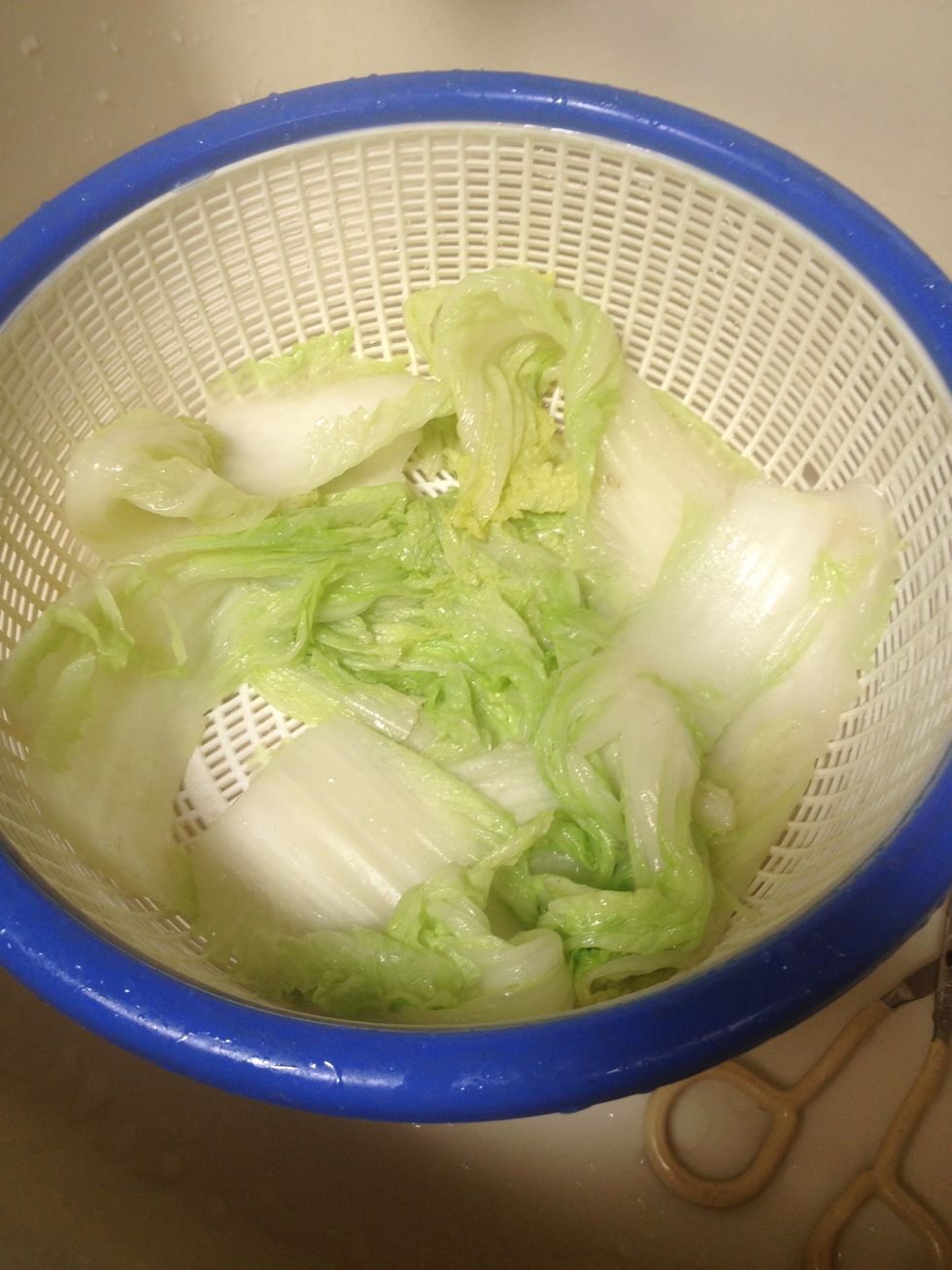 Cool Napa with water and chop to add into pork mixture