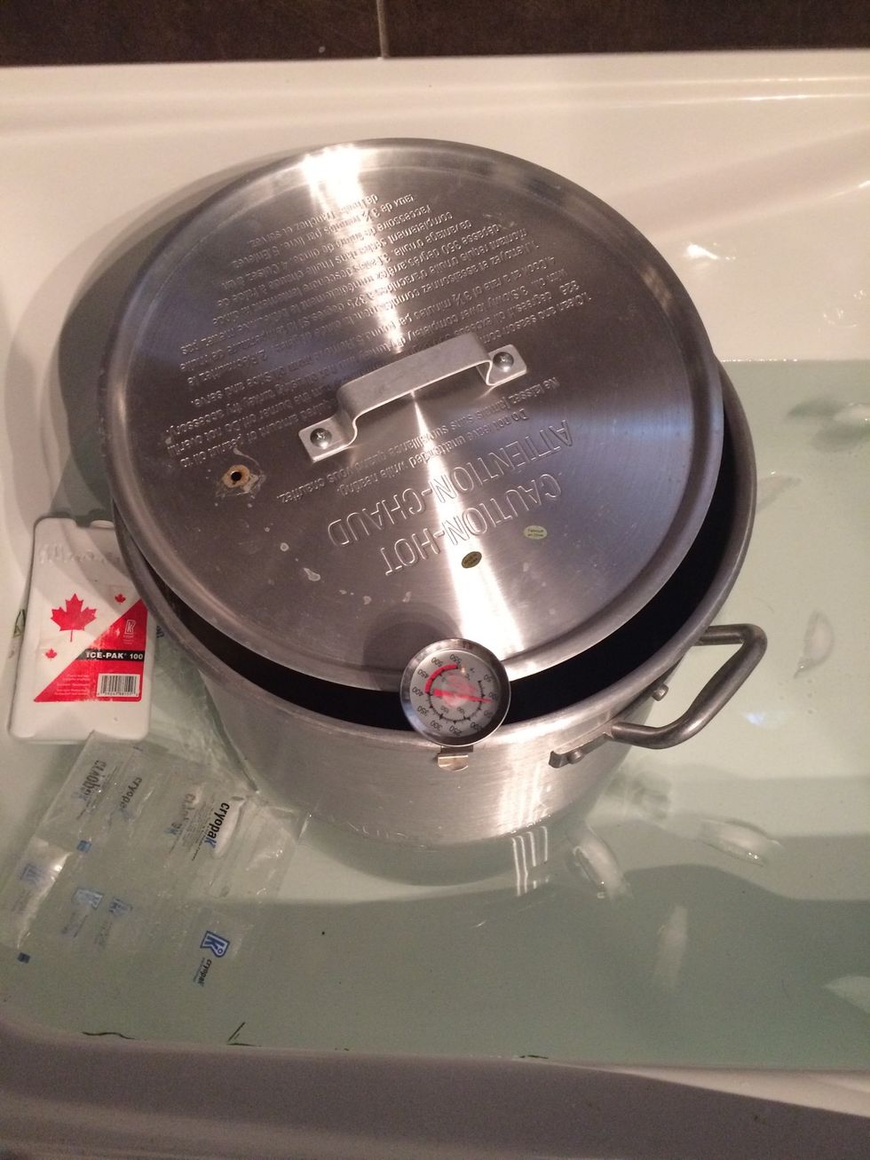 Cool your wort below 70F in an ice bath. If your wort is too hot when you add your yeast it will not ferment properly.
