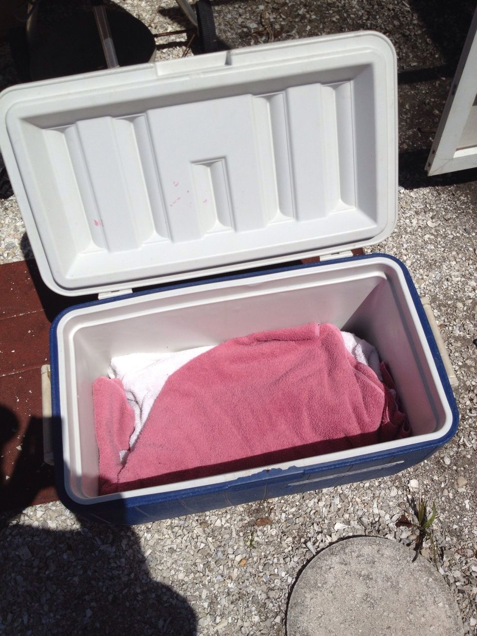 Cooler makes excellent faux cambro. Leave in there 30-60 minutes