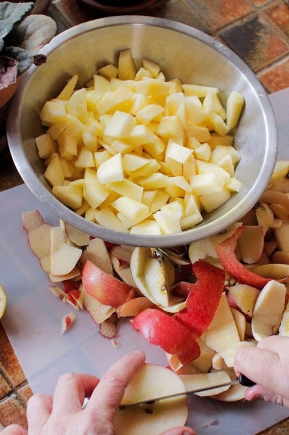 Core, peel, and chop the apples