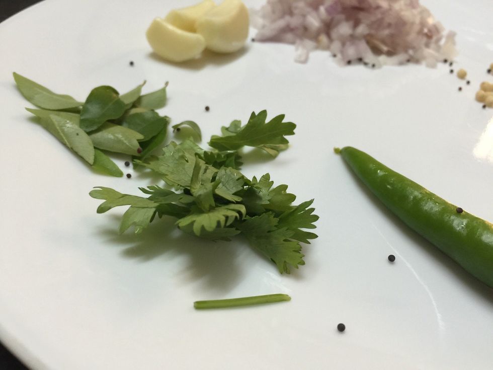 Coriander leaves