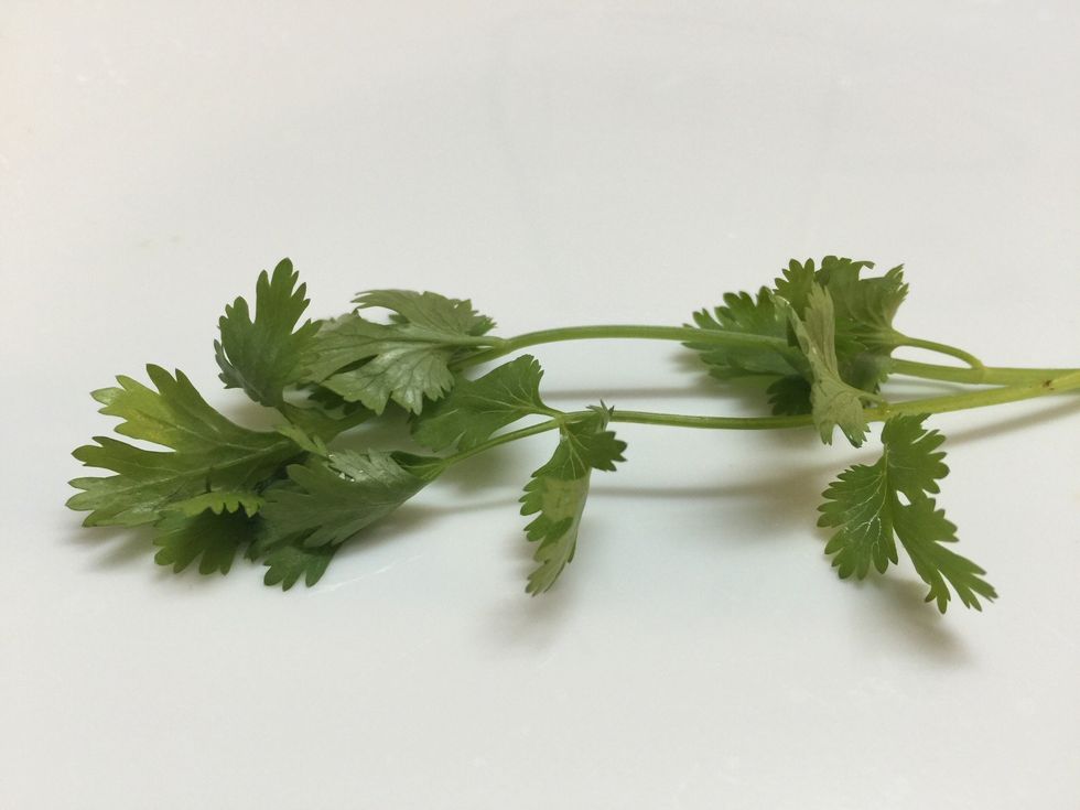 Coriander leaves