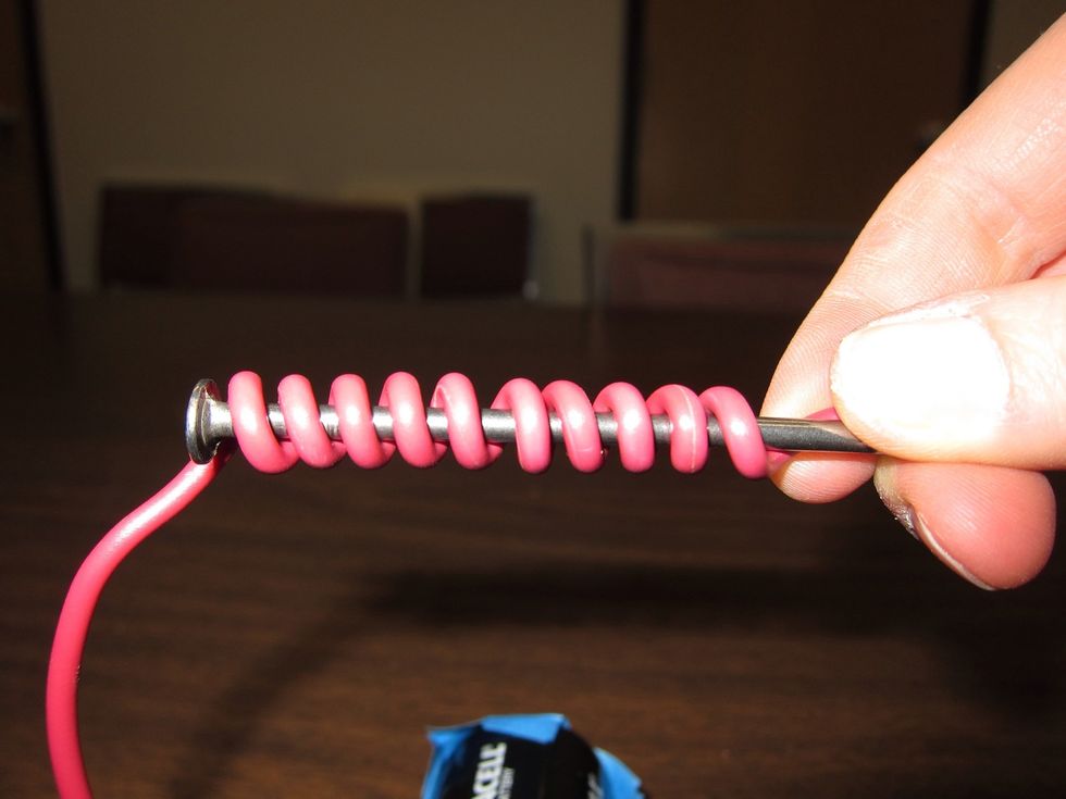 Count the number of loops on this nail. Write your observation in your science journal.