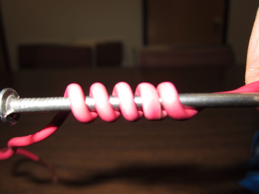 Count the number of loops on this nail. Write your observation in your science journal.