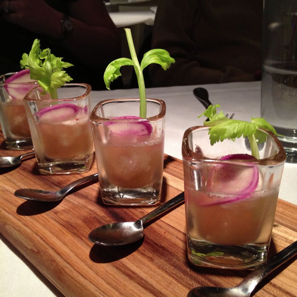 Course 8- Intermezzo- Bloody Mary