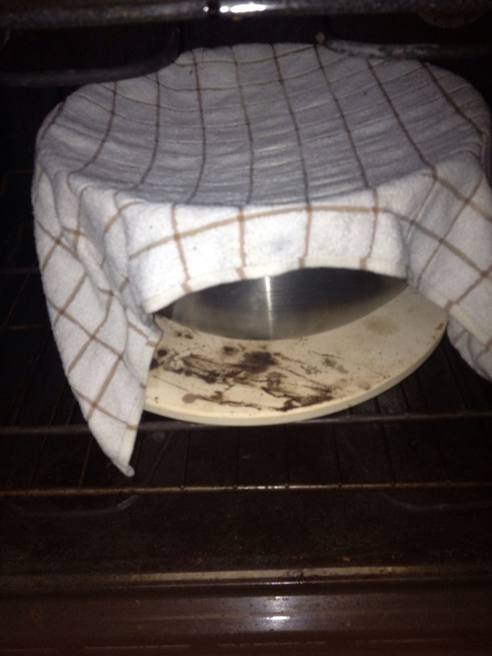 Cover and keep warm for a couple hours or longer. I put my dough in a warm oven for 20 minutes. I then put the dough on top of the oven while I preheated the oven to 500F with a pizza stone