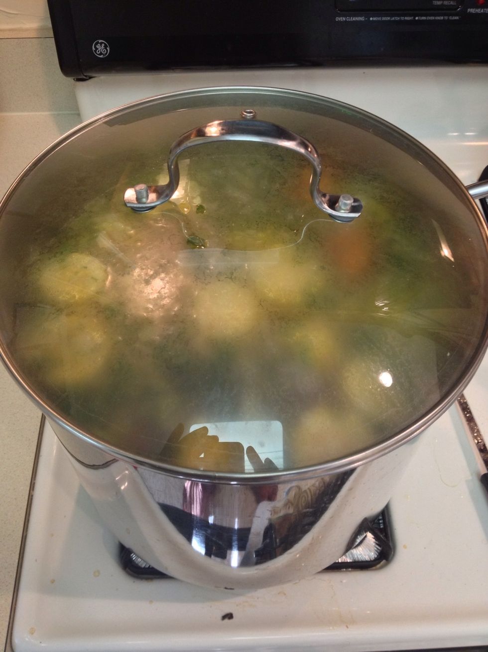 Cover and let boil on medium for 45 min