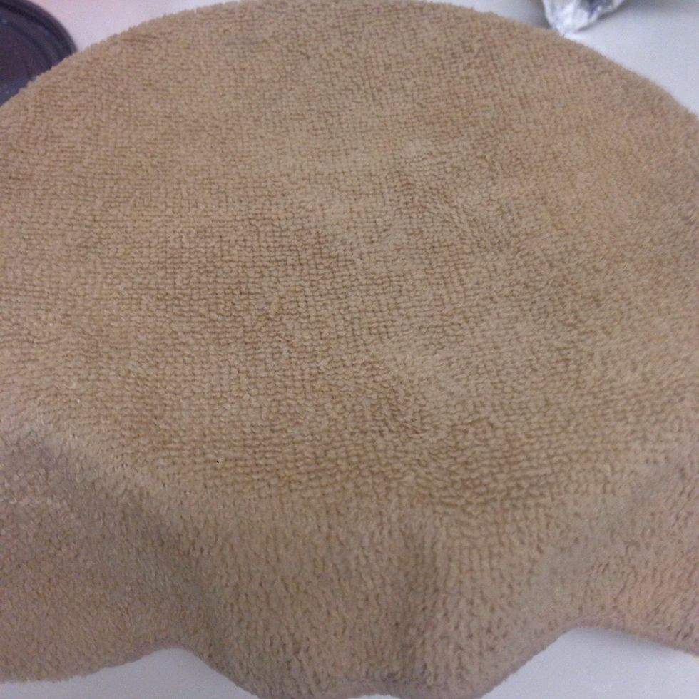 Cover and let rise until double in size or 45 min. But in this cold weather I pre warm my oven for 10 minutes and put the dough there to rise.