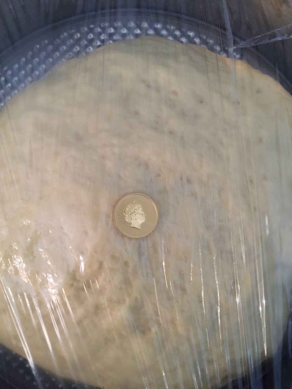 Cover and Prepare the coin. It has to be silver or gold. I have a gold Australian coin. I don't have a Serbian one!!!!\u27a1\ufe0fdetails