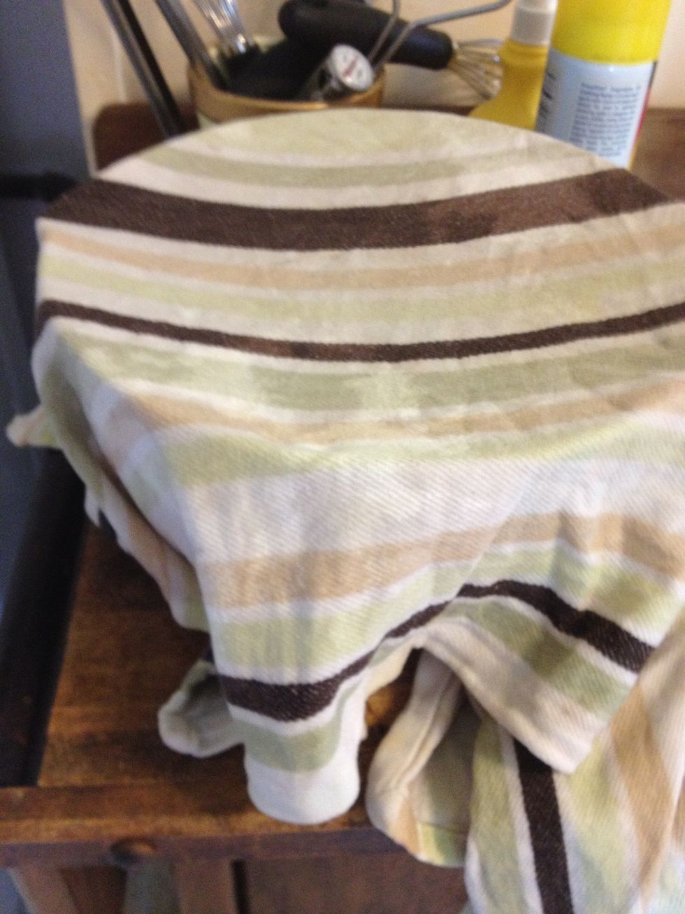 Cover and put it in a warm place and let it rise for 60 minutes.