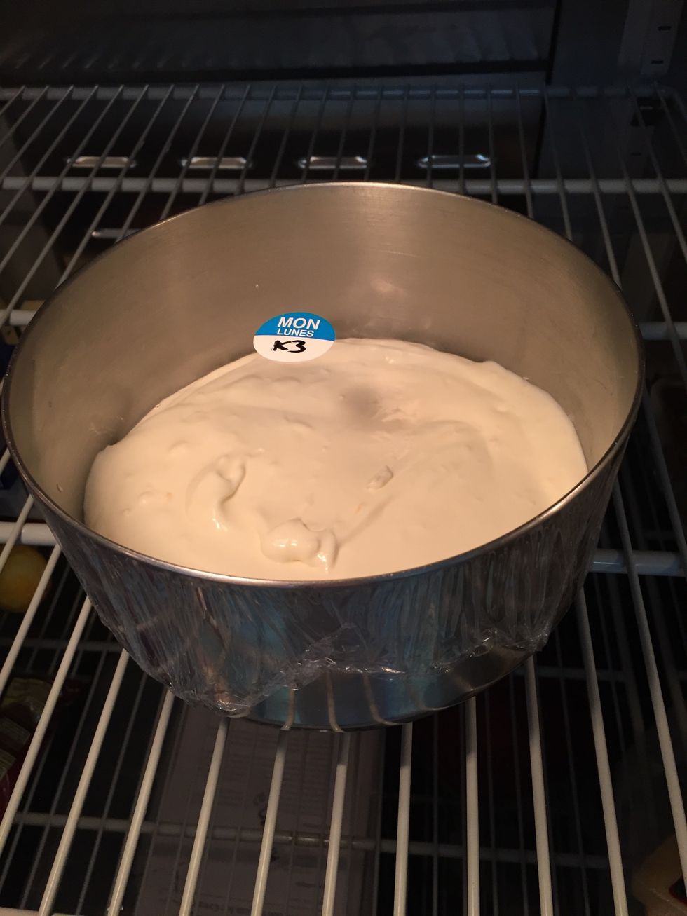 Cover and refrigerate ice cream mixture until very cold (about 2-3 hours)