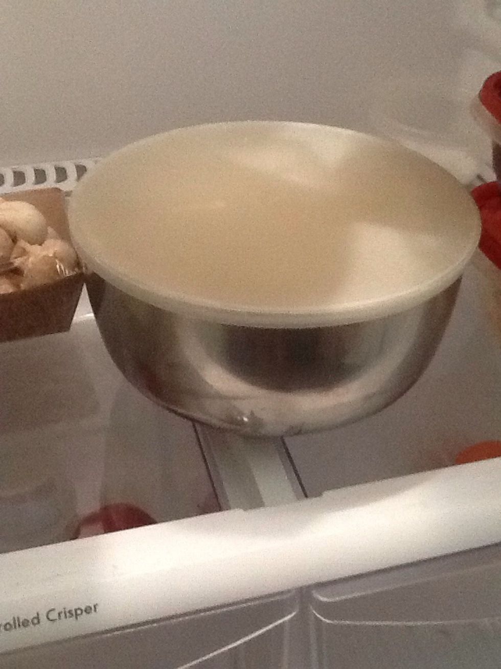 Cover and refrigerate over night.