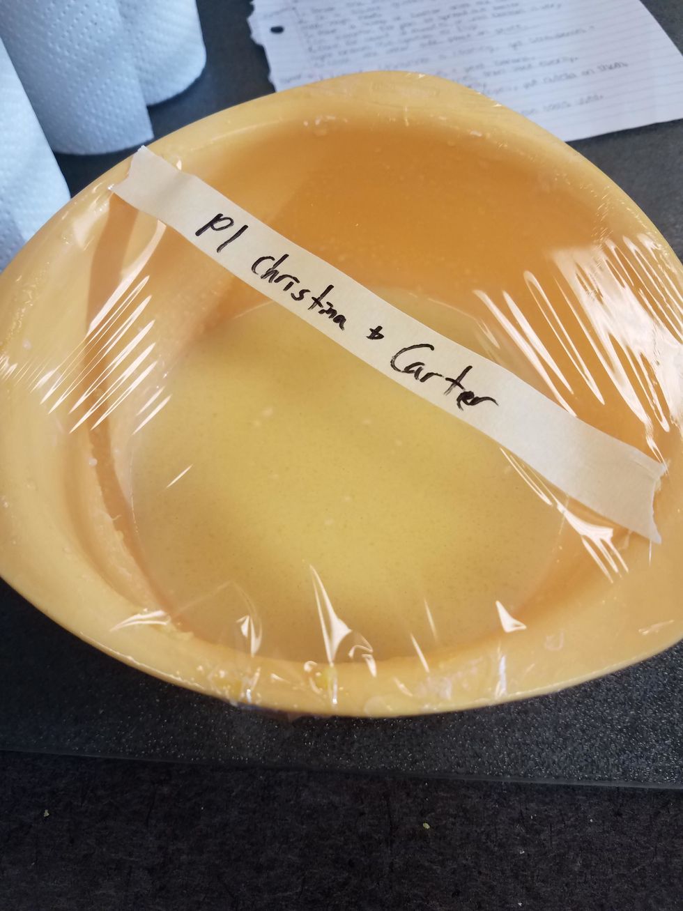 Cover and seal for next day