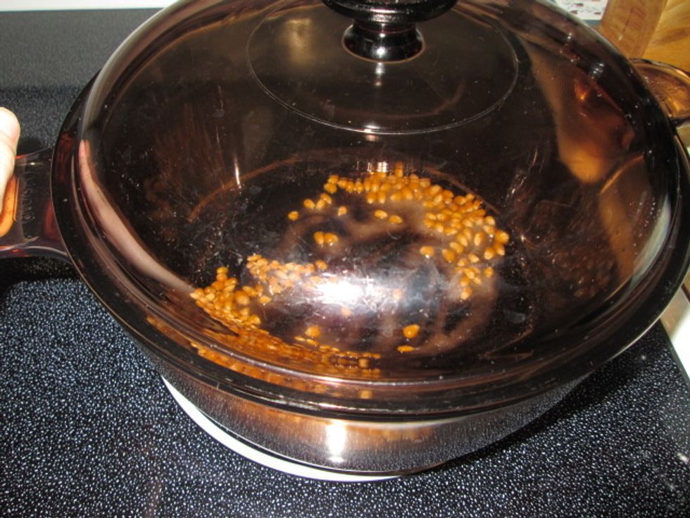 Cover and shake constantly until most of  the kernels stop popping. When its done, dump it into a bowl immediately.