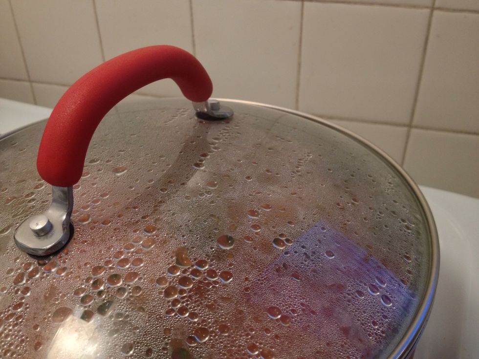 Cover and simmer gently for 20 minutes.