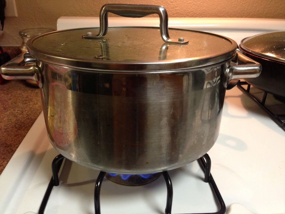 Cover, boil for 30mins, simmer for 15mins
