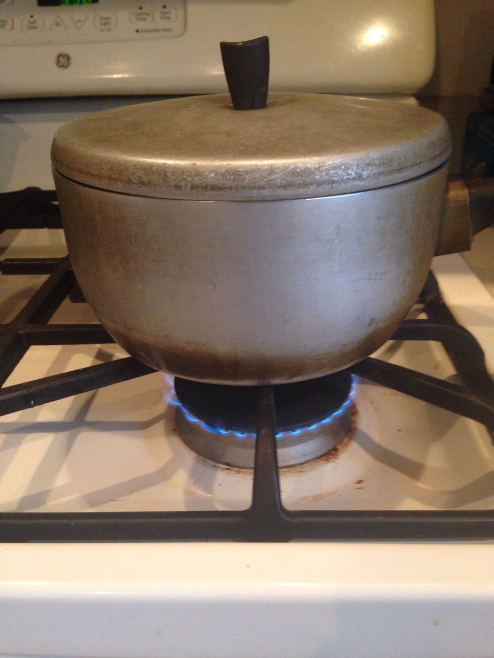 Cover, bring to a boil then simmer for 30 minutes.
