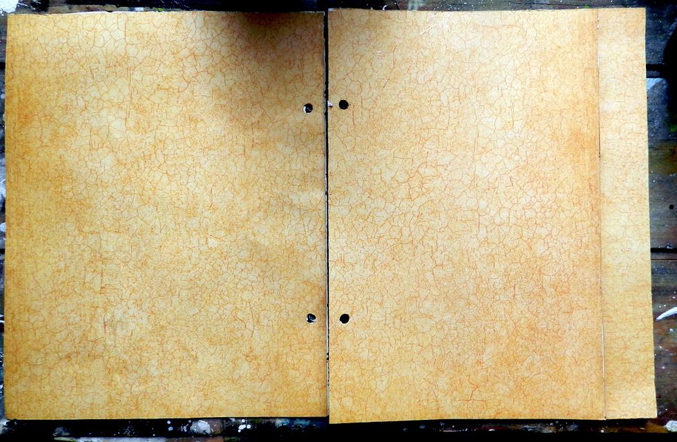 Cover G45 Mixed Media Album pages using G45 Botanicabella Deluxor Collector\u2019s Edition paper.