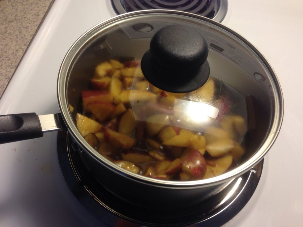 Cover it and let it sit for 10 mins.