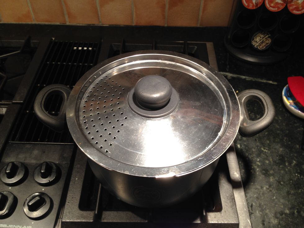 Cover it if you wish to speed up boiling.