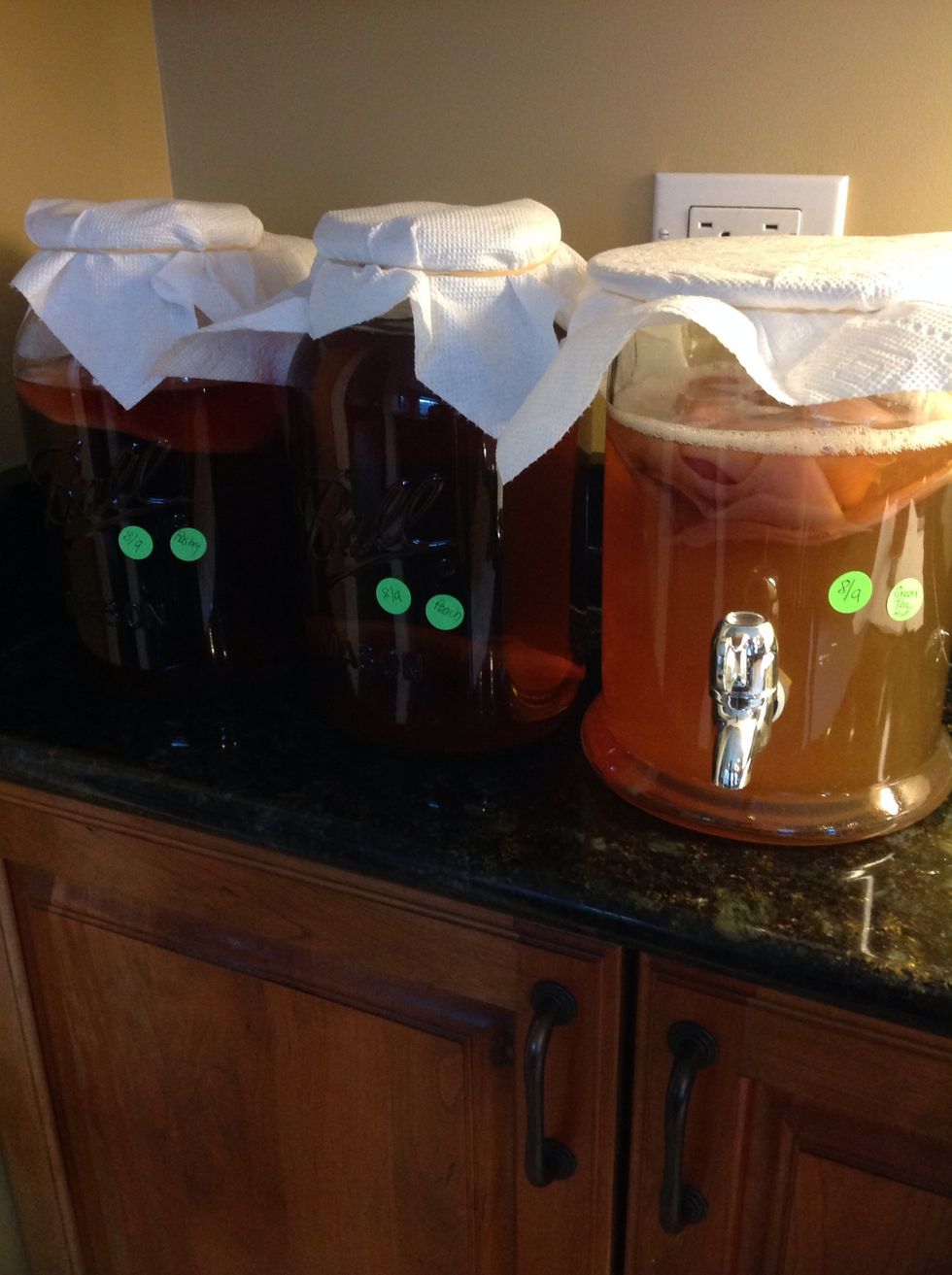 Cover jars with cloth or paper towels. It will take 7-10 days for this first fermentation. Mark jars with the date and tea in order to keep track.