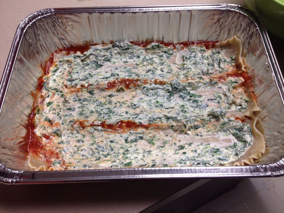 Cover noodles in ricotta mixture