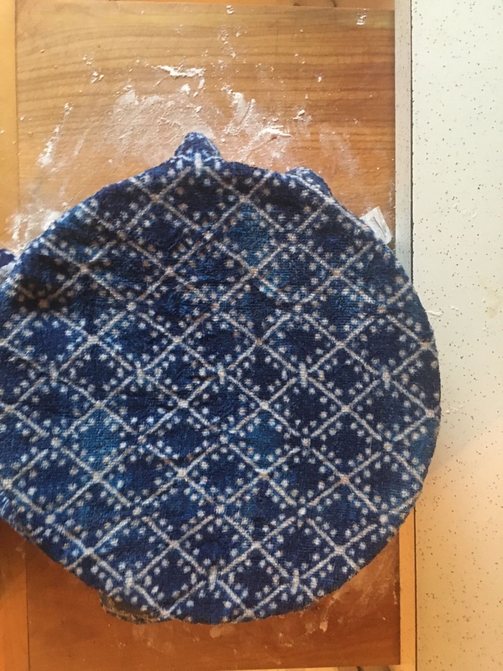 Cover the bowl with a damp towel and let rise for about 30 minutes, or until dough had doubled in size