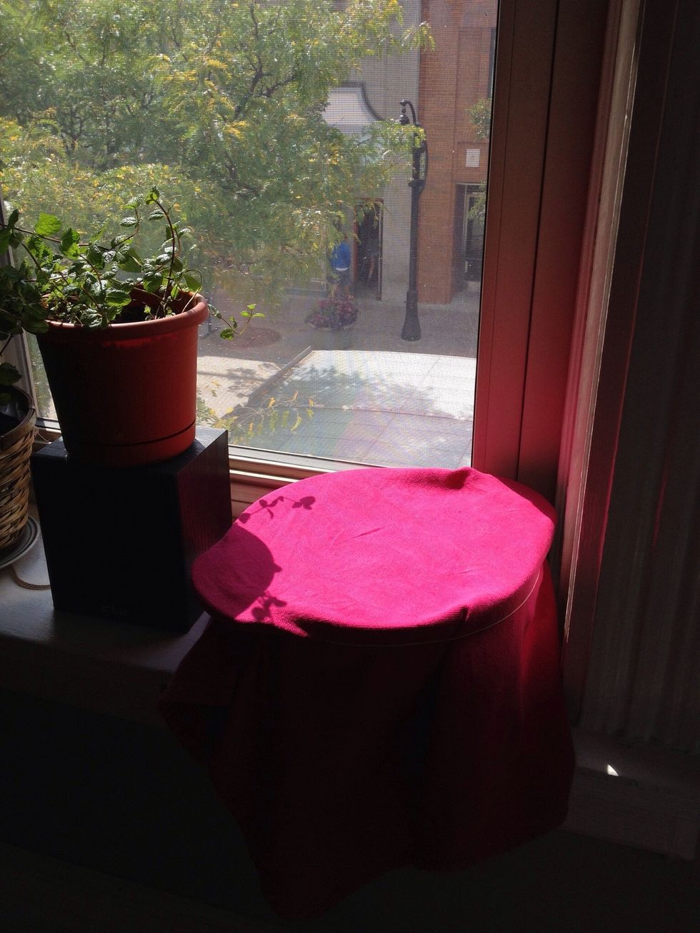 Cover the bowl with a dish towel and let it sit in a warm spot for about an hour.