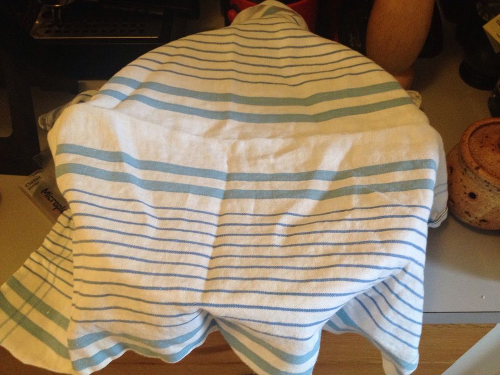Cover the container with a (clean) towel or plastic wrap. Just make sure the bowl stays away from the (heat from the) oven.