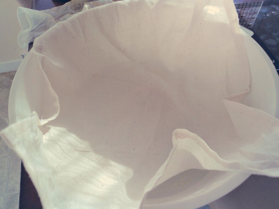 Cover the dough and let rise in a warm place until it has doubled in size.
