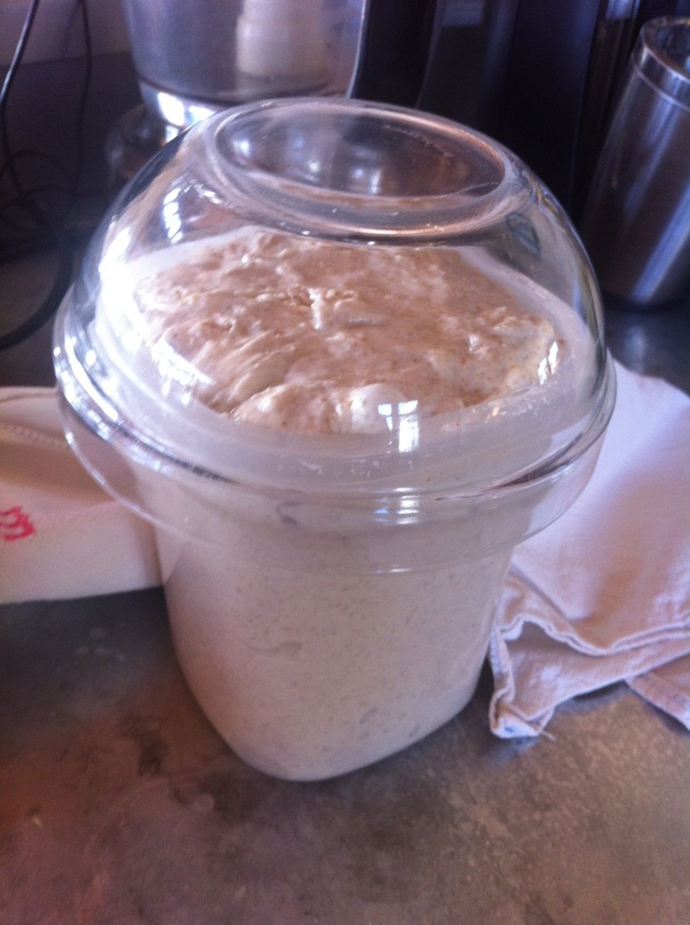 Cover the dough and let sit several hours, turning it as in the preceding step every half hour.