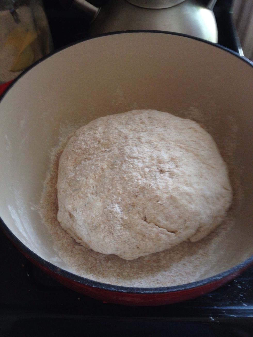 Cover the dough with a cloth and let it sit in a warm area, for an hour or more.