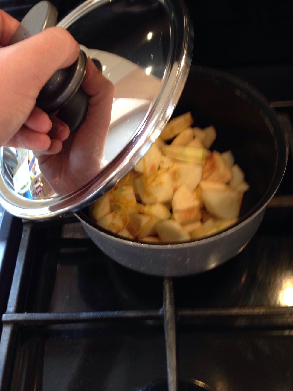 Cover the pan and simmer on a low heat until the apple mix is soft and mushy
