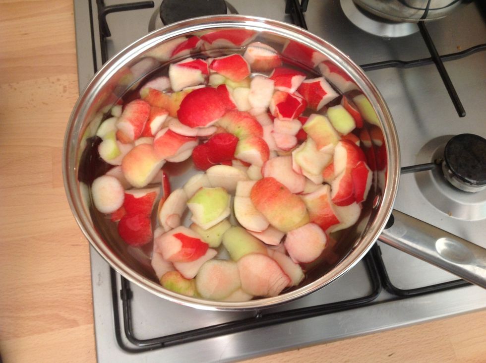 Cover the peels with the water