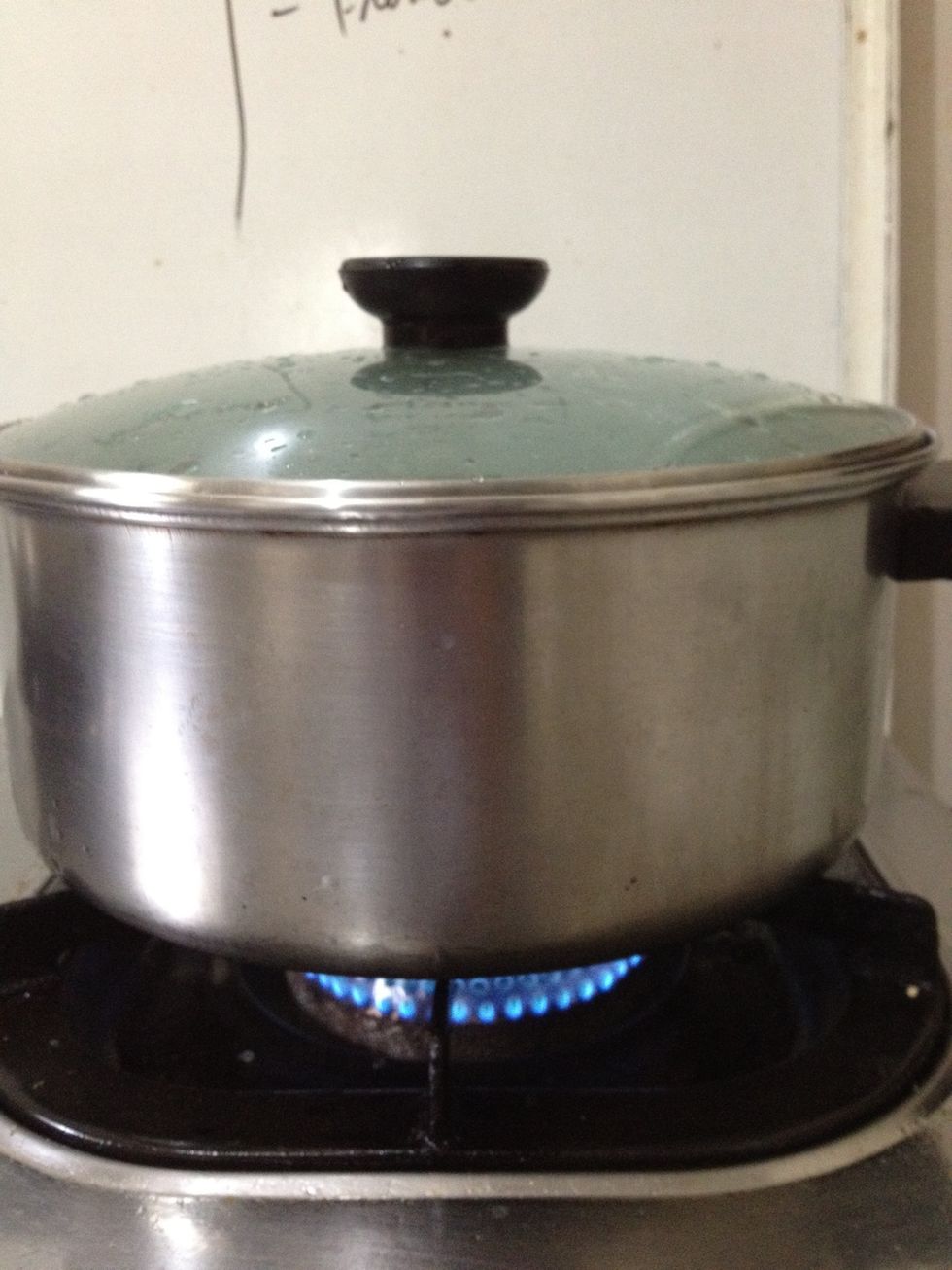 Cover the pot and bring to a boil
