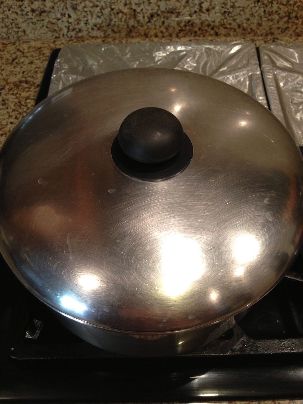 Cover the pot and cook for 20 minutes on medium-high heat.
