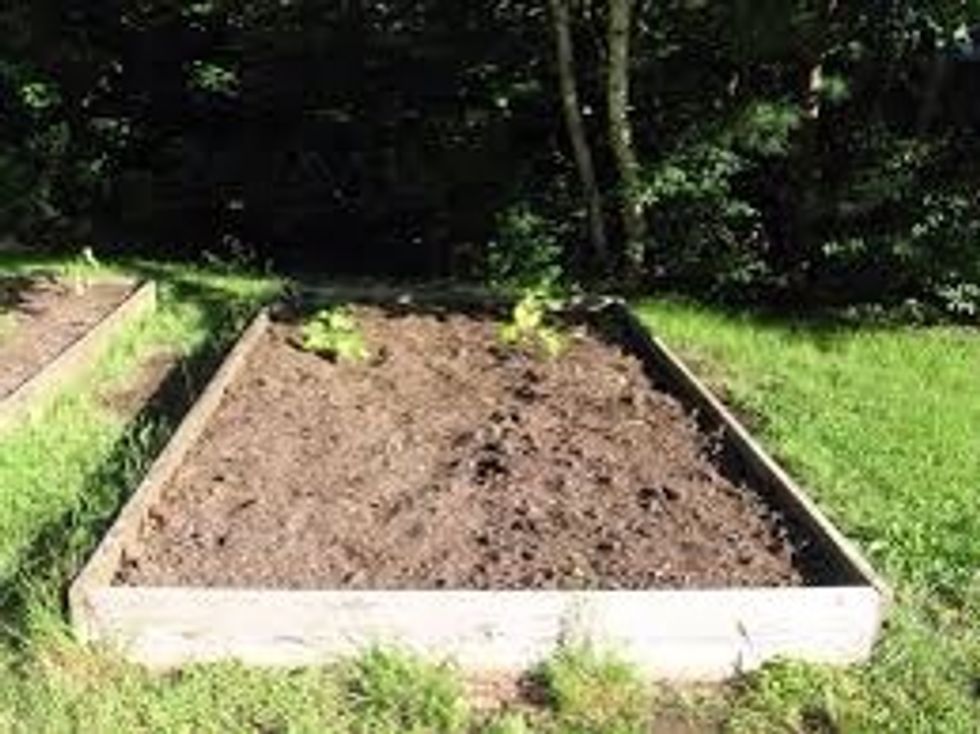 Cover the potato tuba with rich fertile soil with a pH of around 6.5 or lower