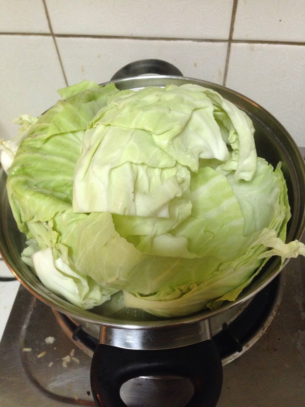 Cover the stew with the cabbage then place lid