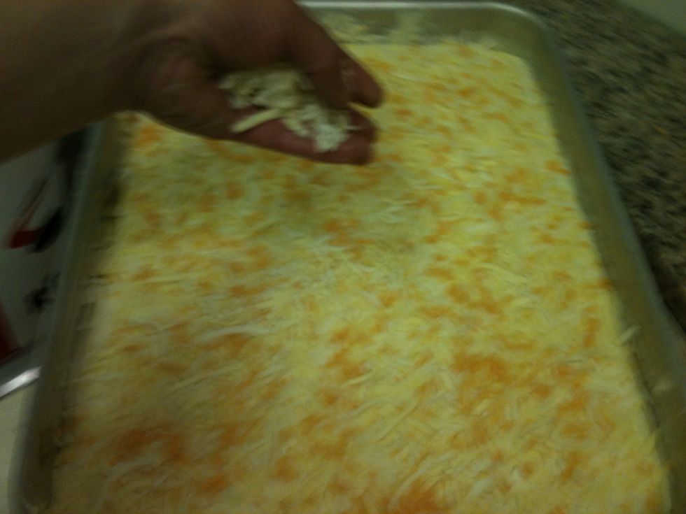 Cover this with mozzarella and cheddar cheese.