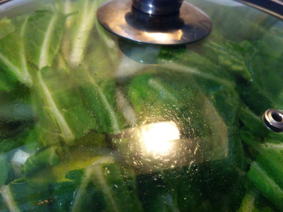 Cover to wilt bok choy