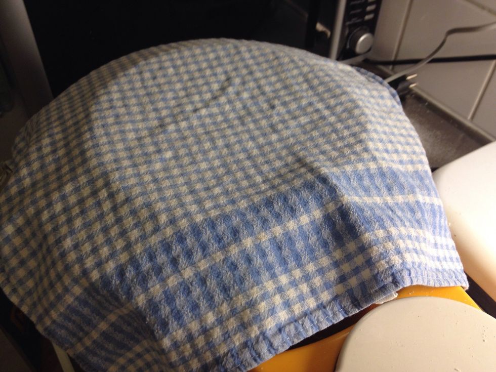 ..cover with a (clean) kitchen cloth and let sit for 30 minutes.