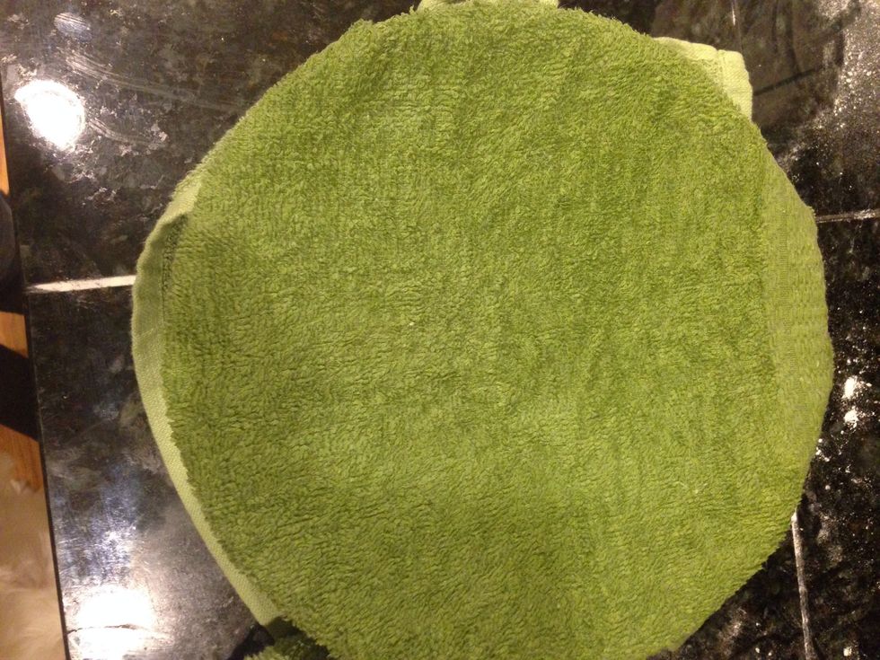 Cover with a damp cloth and let rise in a warm place until doubled in volume, about 1 hour.