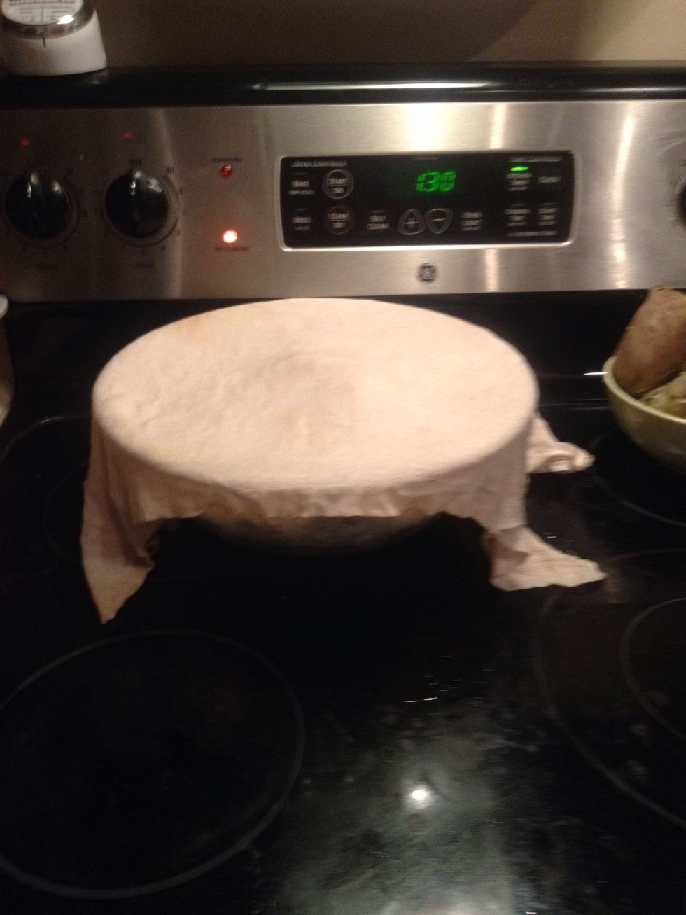 Cover with a damp towel and let rise about 1 hour. Knead in the bowl and cover and let rise for another hour. I put a bowl of boiling water next to the bowl of dough and covered both with the towel.