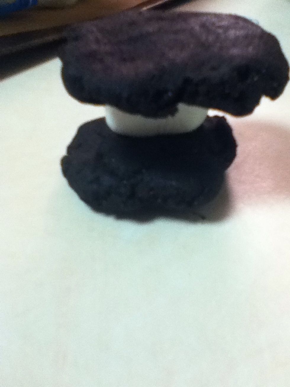 Cover with another ball of flattened dough, and press edges together, fully covering the marshmallow. Roll it into a ball.