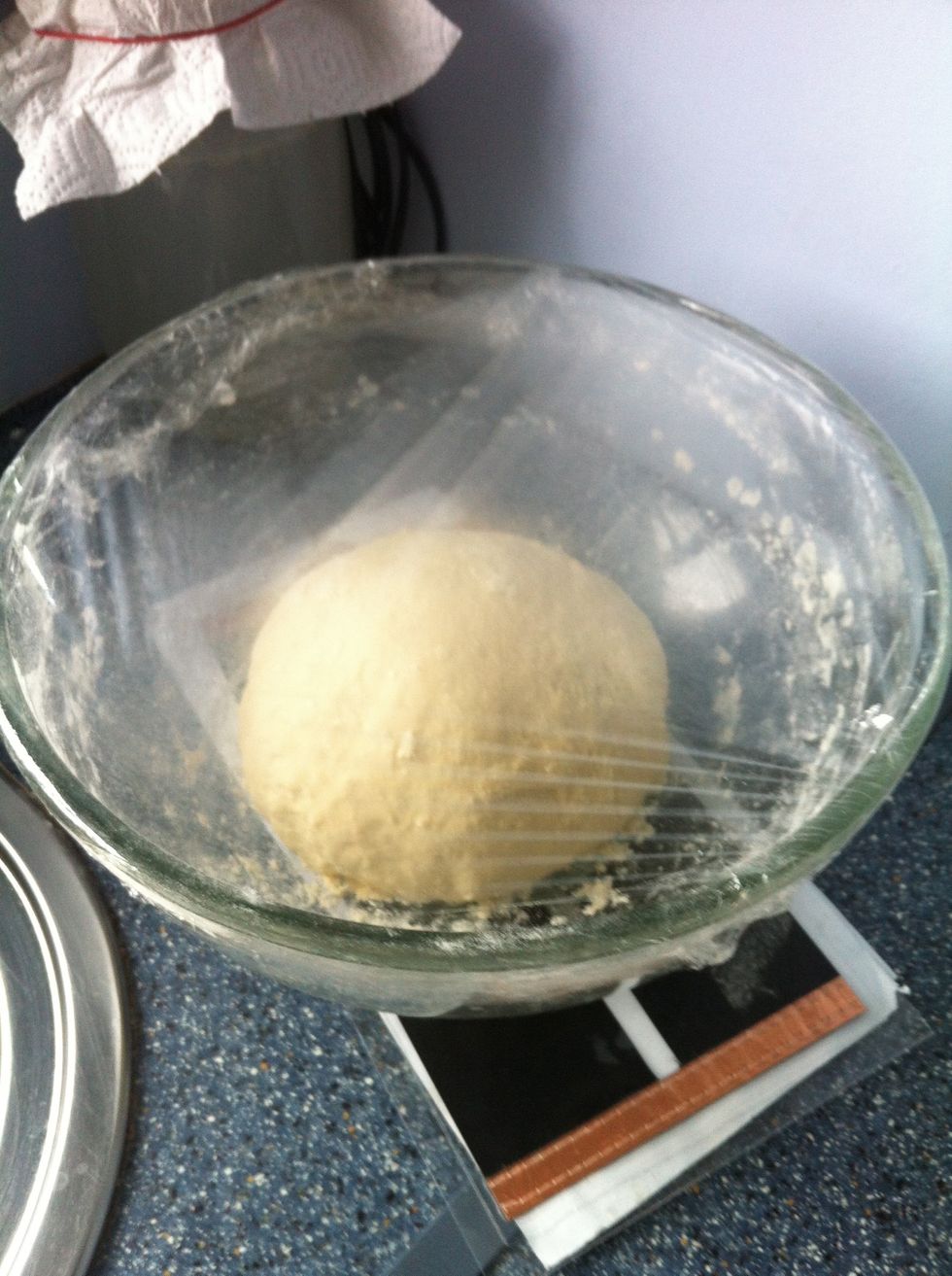 Cover with 'Cling Film' (plastic wrap) and place in a warm place. . See Tip 2 at the end of this guide