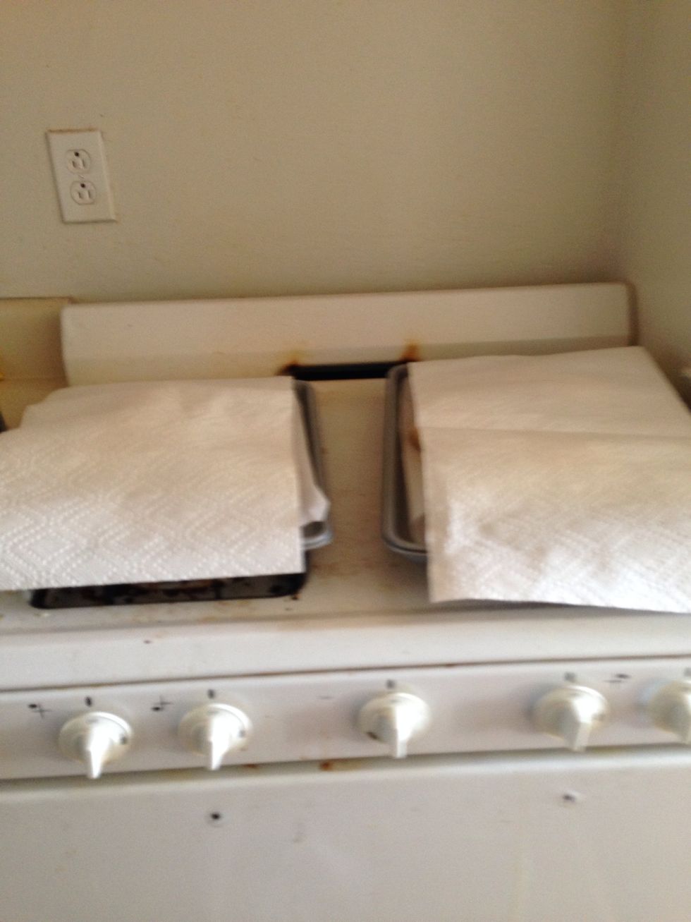 Cover with paper towel and let it rise on a warm surface.. My pilot light is always on (old stove) so the surface is always warm it works amazing.. Let it rise for a half hour