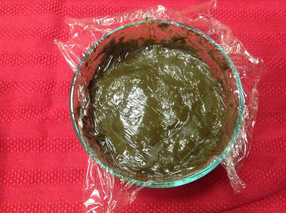 Cover with plastic wrap and leave overnight for the dye to develop, not in the fridge just at room temperature.