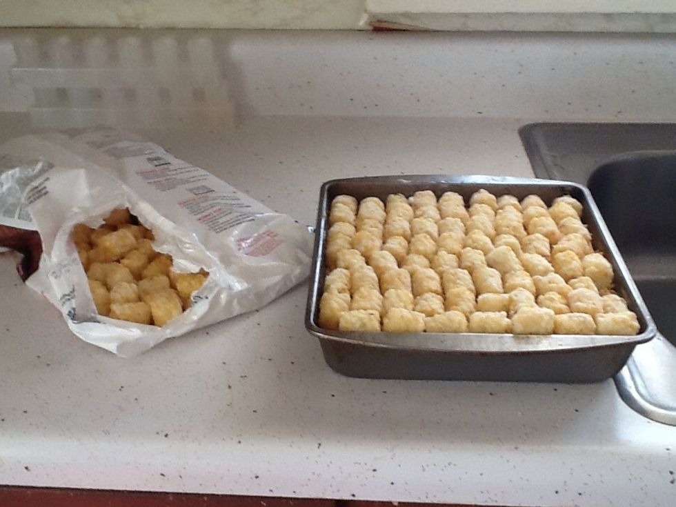 Cover with tater tots